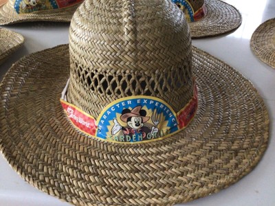 Walt Disney World Straw Hat | eBay