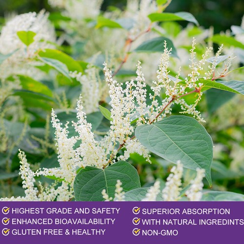 Resveratrol Root Extract 1200mg Maximum Strength Natural AntiAging Antioxidant - Picture 5 of 18