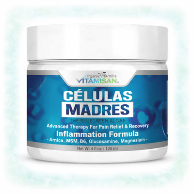 Stem Cell Blue Green Algae Cream Arnica MSM Glucosamine Joint Comfort 4oz
