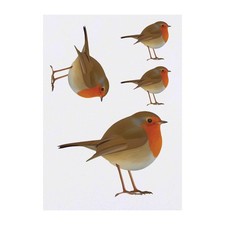 4 x 'Robin' Temporary Tattoos / Transfers TO00014634 
