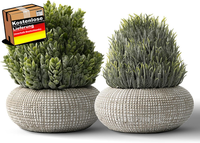 Kunstpflanzen Im Beton-Topf Minimalistisch FüR Wohnzimmer Balkon Badezimmer Set