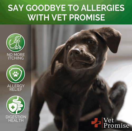 Dog Allergy Chews Itch Relief for Dogs Dog Allergy Relief Anti Itch for - Picture 4 of 7