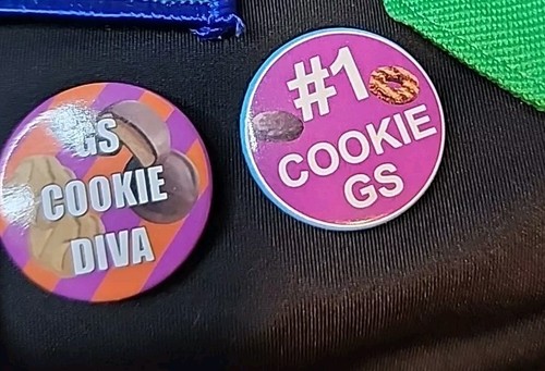 Lot Of 62 Girl Scout Patches And Pins Fun Patches Anniversary Patches Leader... - Picture 5 of 9
