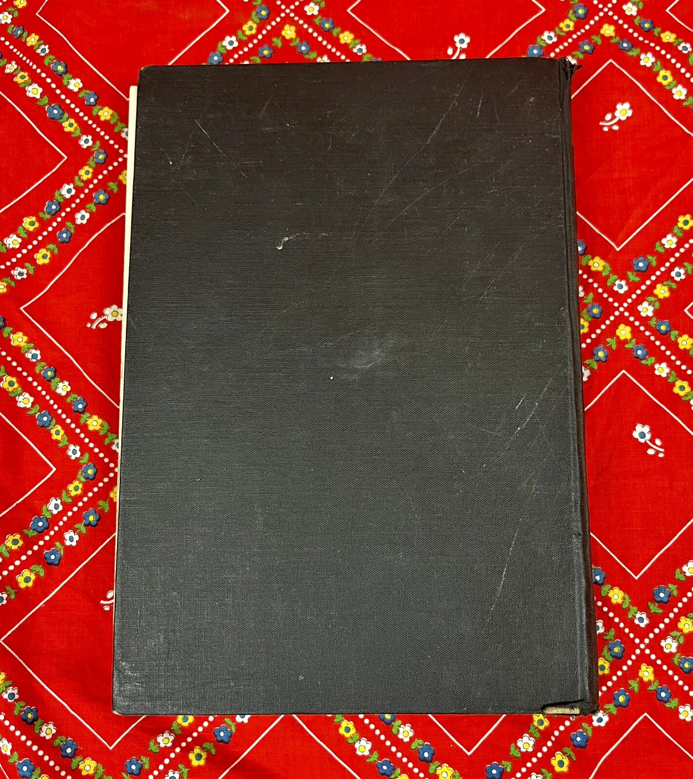 Picture 8 of 9