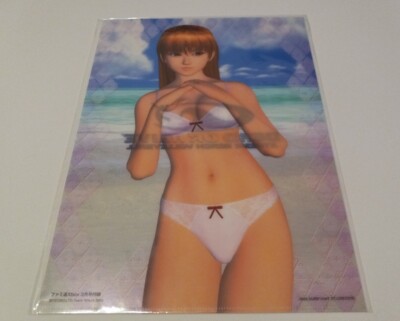 DEAD OR ALIVE Xtreme Beach Volleyball KASUMI Promo Clear File Folder #3 XBOX