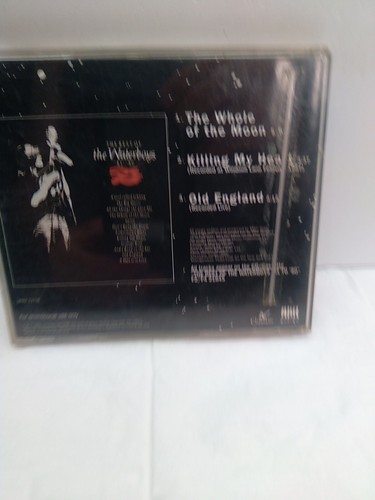 The Waterboys - The Whole of The Moon (CD, Single, 1991) Promo - Picture 5 of 24