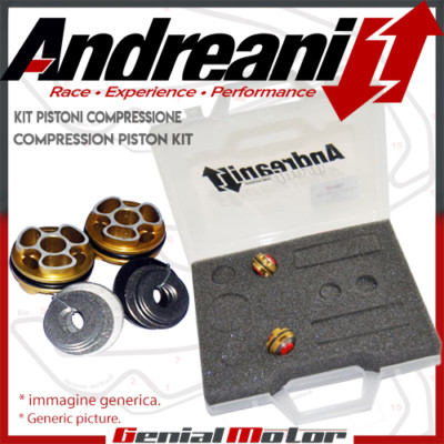 Andreani Piston Compression Pump Kit for Honda CB 900F Hornet 2002 > 2007