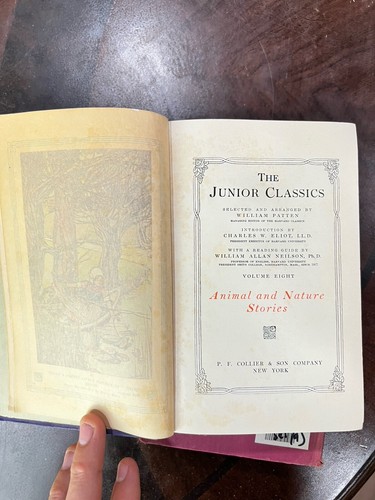 1918 Collier's Junior Classics,The Young Folks Shelf of Books 1-10 Set (Miss #2) - Picture 17 of 22