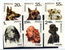 FRANCOBOLLI ROMANIA 1971 CANI DI RAZZA SERIE MNH**