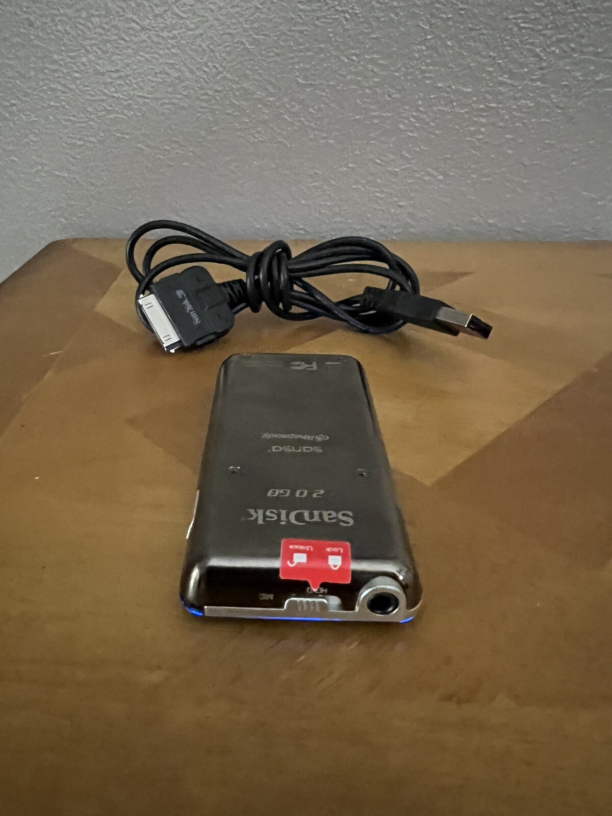 SANDISK SANSA E250 2.0 GB DIGITAL MEDIA PLAYER BLACK MP3 MP4 W/ 100s of songs