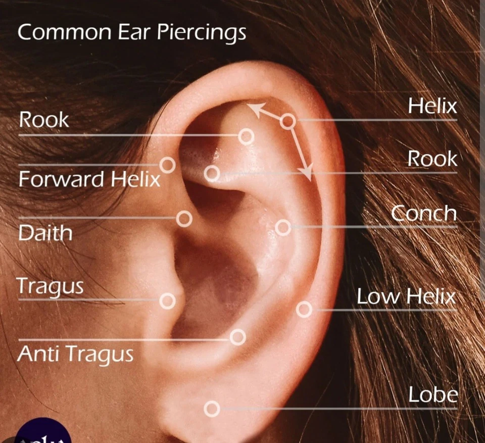 Joyería Helix Tragus de metal plateado circonita cúbica con oreja de 3 puntos nueva con caja Foto 3 de 3