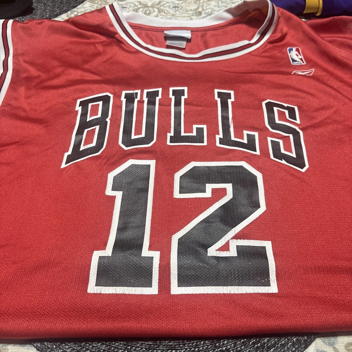 kirk hinrich jersey products for sale | eBay