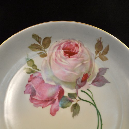 Z.S. & Co Zeh Scherzer 11 1/8" Cake Plate 1880-1918 Cabbage Roses w/Gold Bavaria - Picture 4 of 8