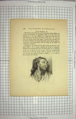 Original alter antiker Druck Portrait Mann Raphael Guido