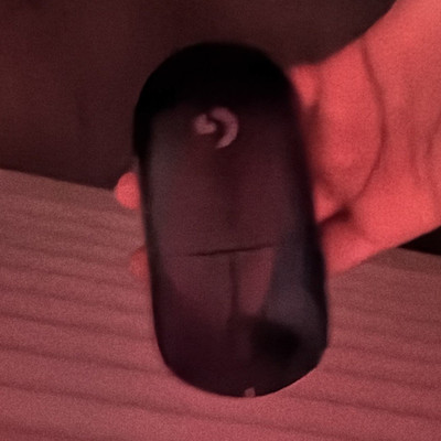 Logitech Wireless Pro