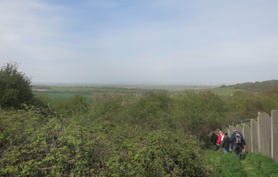 Photo 6x4 Walking down from High Halstow The reason for High Halstow' c2016