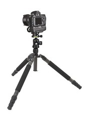 New Sirui N-3204X Carbon Fiber Professonal Photographic Tripod