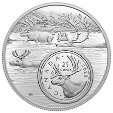 2022 Canada Five Ounce 25¢ Pure Silver Coin The Bigger Picture: The Caribou