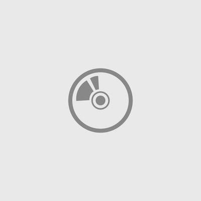 Asteroid No. 4 - The Asteroid No. 4 () (Vinyl)