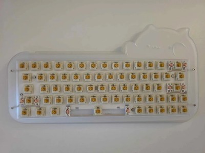 EPOMAKER Mini Cat 69 RGB Wired Keyboard Released 2022 + Gazzew Boba U4T Switch