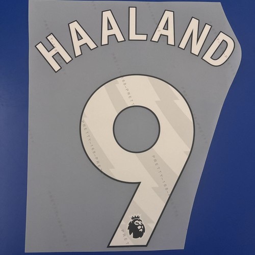 2024-25 Erling Haaland Soccer Jersey Player Size Nameset Name Number ID Print