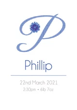 Personalised Name Initial Date Birth Weight Baby Born Nursery Poster Blue Boy