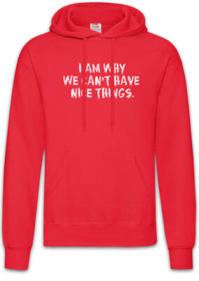 I Am Why We Can't Have Nice Things Hoodie Sweatshirt Kids Boys Girls Family Fun