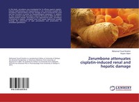 Mohamed Yousif Ibrahim (U. A.) | Zerumbone Attenuates Cisplatin-Induced Renal...