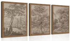 Vintage Landscape Framed Wall Art Set of 3, Neutral Nature Wabi Sabi Canvas W...