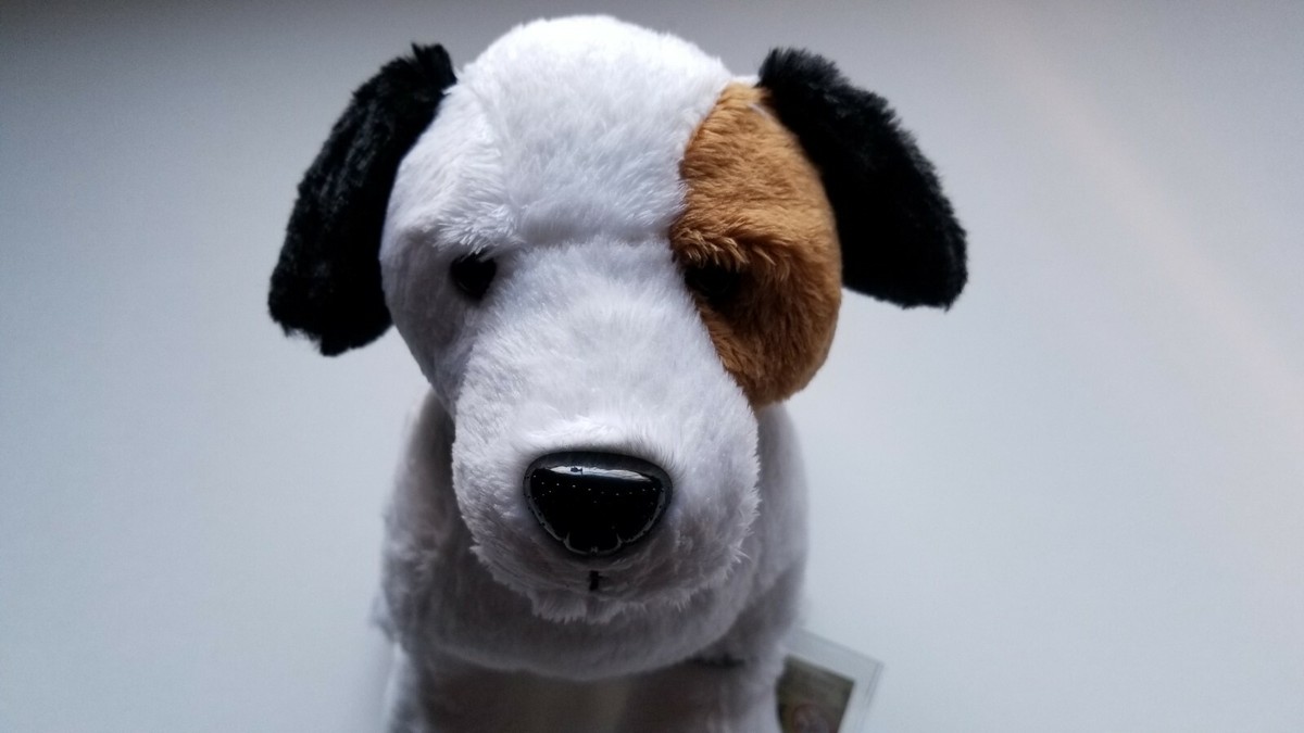 COACH ぬいぐるみ Signature Toy Jack Russell COACH ぬいぐるみ Signature Toy Jack Russell Coach Signature