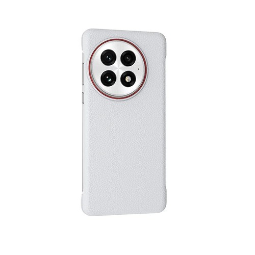 Funda rígida de PC mate sin marco grano Litchi para OnePlus 13 ACE5 cubierta trasera sin borde - Imagen 10 de 12