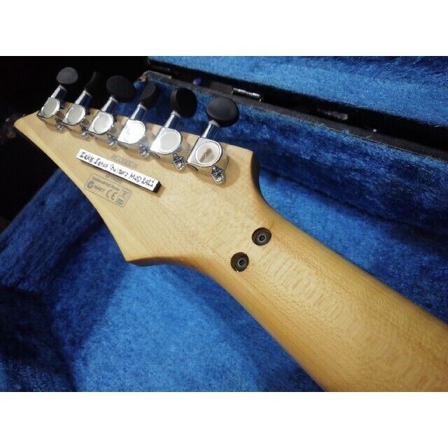 Electric Guitar Ibanez RG350DX RG Series MOD Hybrid Silver Electric Guitar Ibanez RG350DX RG Series MOD Hybrid Silver