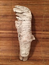 Beautiful 6" DRIFTWOOD Piece Art Terrarium Taxidermy Aquarium Reptile DECOR