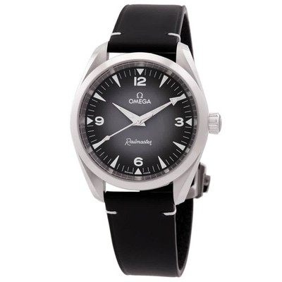Omega Seamaster Railmaster Automatic Chronometer Grey Dial Watch
