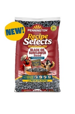Recipe Select Black Oil Sunflower Seed Dry Wild Bird Feed, 40 Lb. Bag, 1 Pack