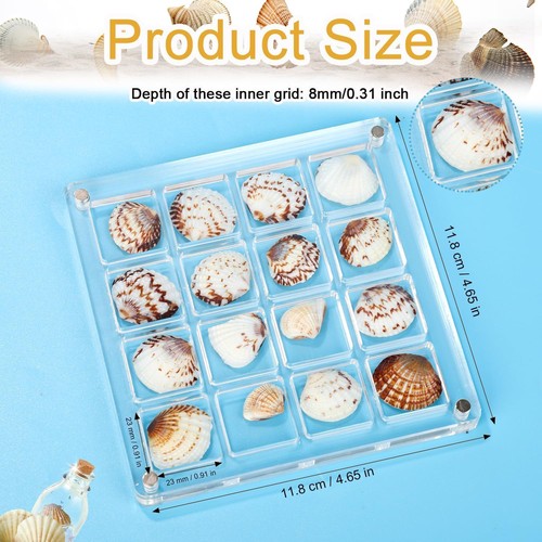 Display Shadow 16 Grids Square Clear Acrylic Boxes Mini Seashell Collection - Picture 2 of 7