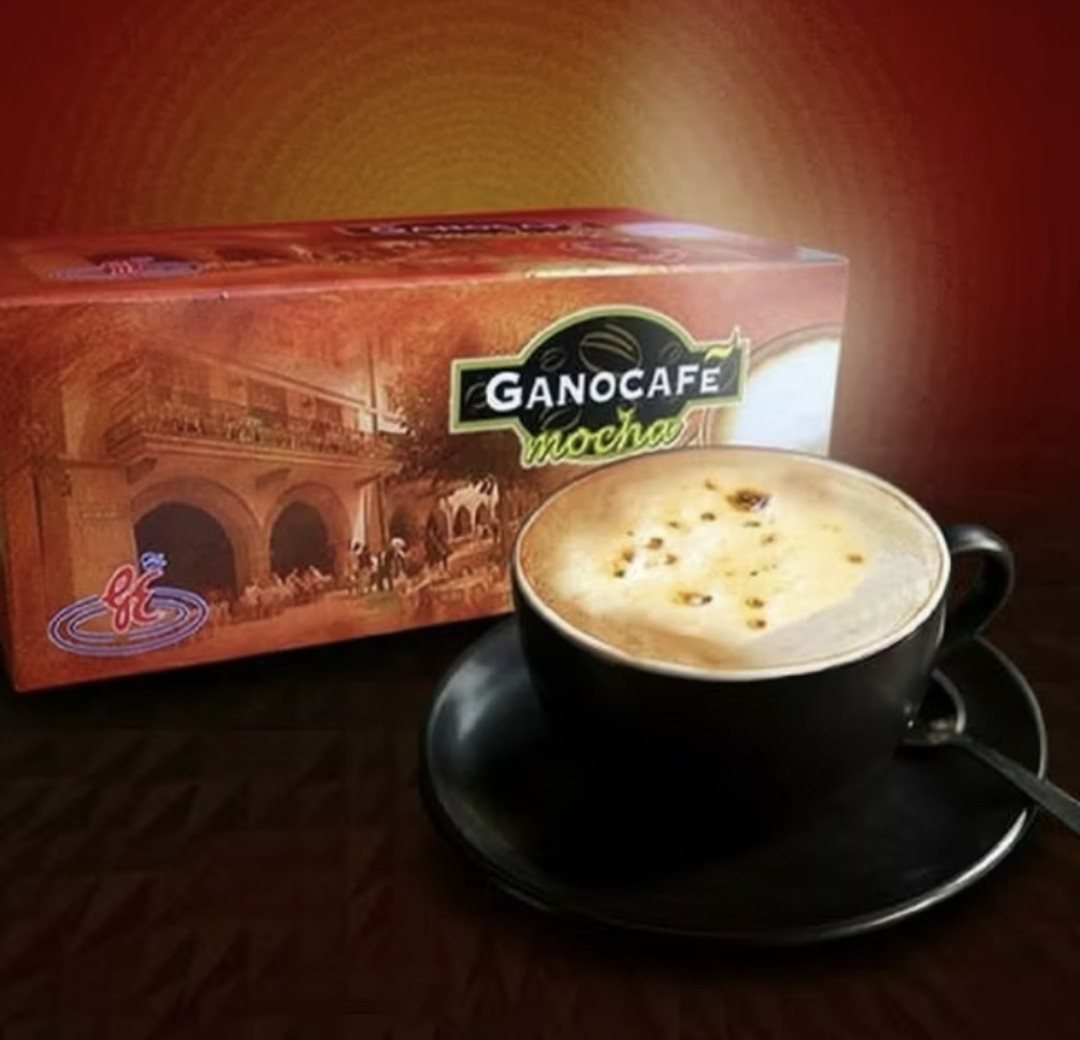 6 BOX Gano Cafe Mocha Gano Excel Ganoderma Halal 90 SACHETS 