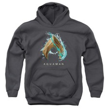 Aquaman Movie Kids Hoodie Water Shield Logo Charcoal Hoody