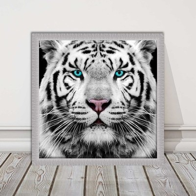 Weißer sibirischer Tiger, gerahmtes Bild mit Druck. Rahmen zur Auswahl