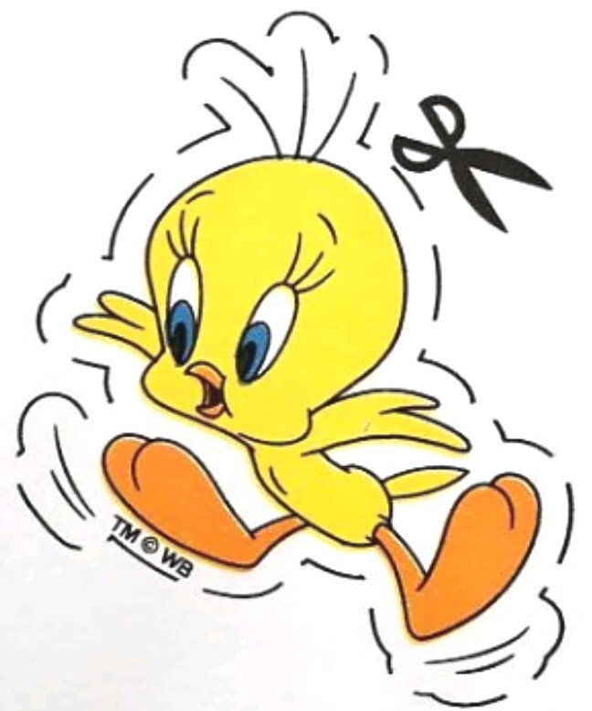 VTG LOONEY TUNES Bugs Bunny Tweety Marvin Wall Paper Border Set of 2 Cut Outs