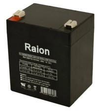 Raion Power 12V 5Ah T2 F2 Battery For AJC D5S F2