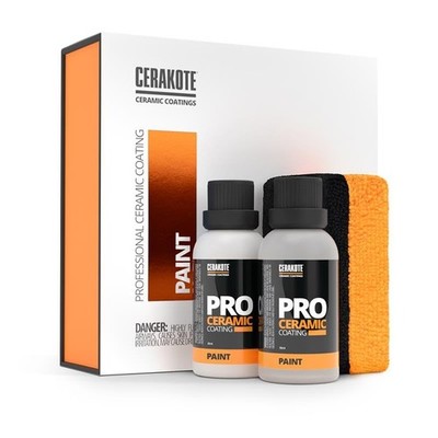   Professional Ceramic Paint Coating   High-Gloss Professional-Grade Paint Pr...