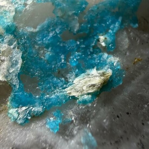Bishop Mine World Class Turquoise Crystals on Quartz-Lynch Station, Virginia