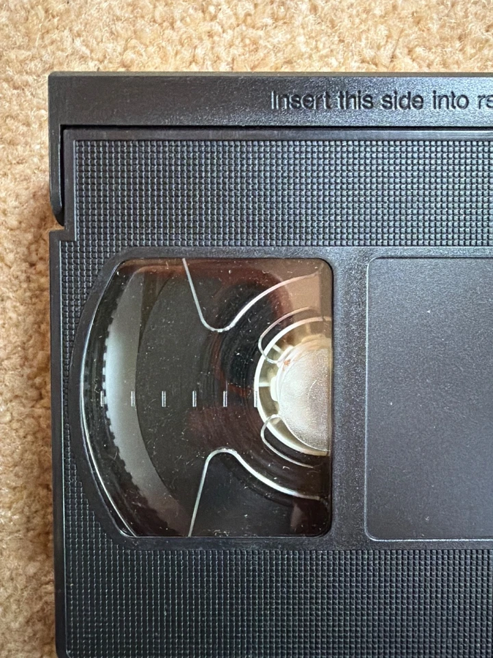 Contests 7 Lifestyles you’ll have to watch it to know - erotic bodybuilding - Image 4 of 4