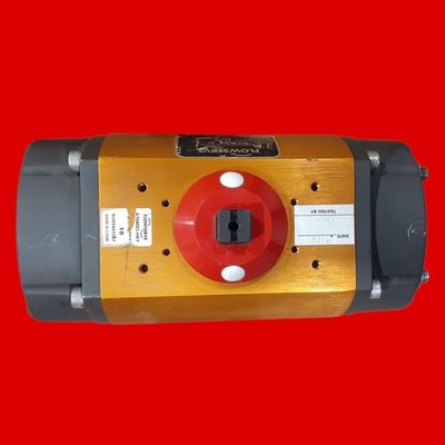Worcester Controls Flowserve Series F39 Pneumatic Actuator, 25F39SN6 R7