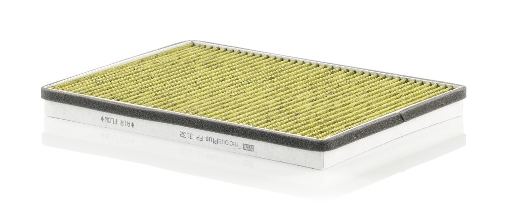 MANN-FILTER FP 3132 Filter, cabin air for DAF
