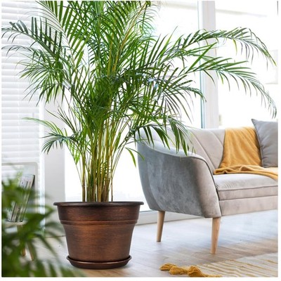 Resin Decorative Planters 4 Pack - Indoor Outdoor