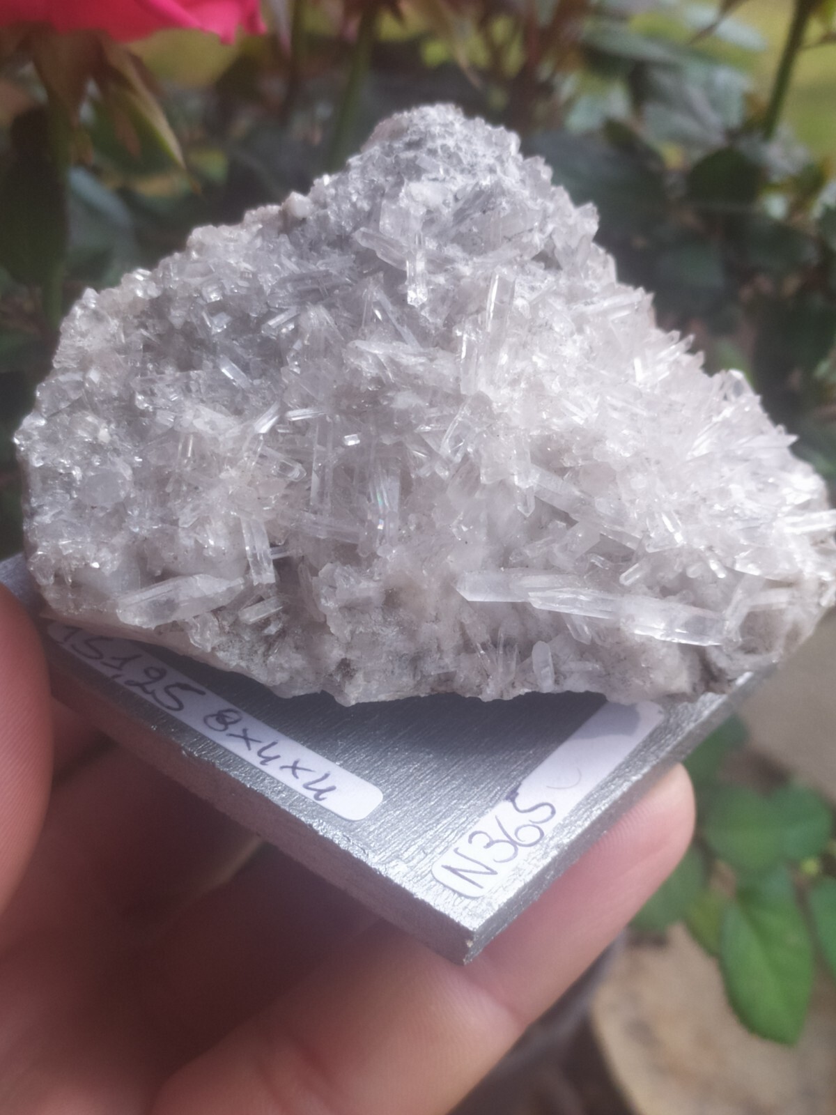 Minerale ®Quarzo Ialino Finissimi Cristalli Su Matrice 151,25 Gr Raro svizzera