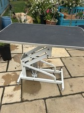Hydraulic Dog Grooming Table