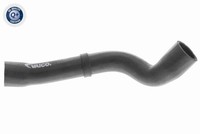 KÜHlerschlauch Oben Vaico V10 4667 FÜR Seat Skoda Vw
